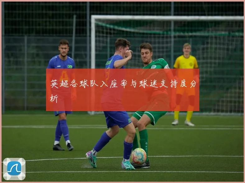 英超各球队入座率与球迷支持度分析